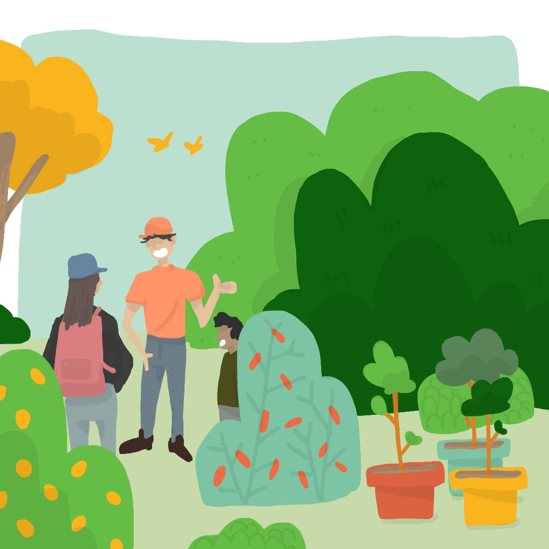L’histoire du projet : de l’idée à la réalisation d'une forêt comestible