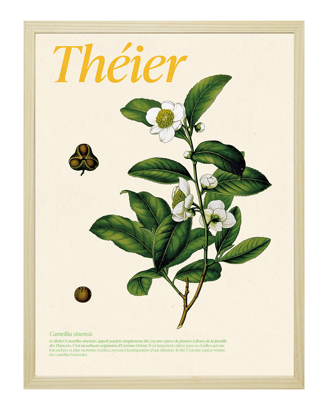 Affiche théier