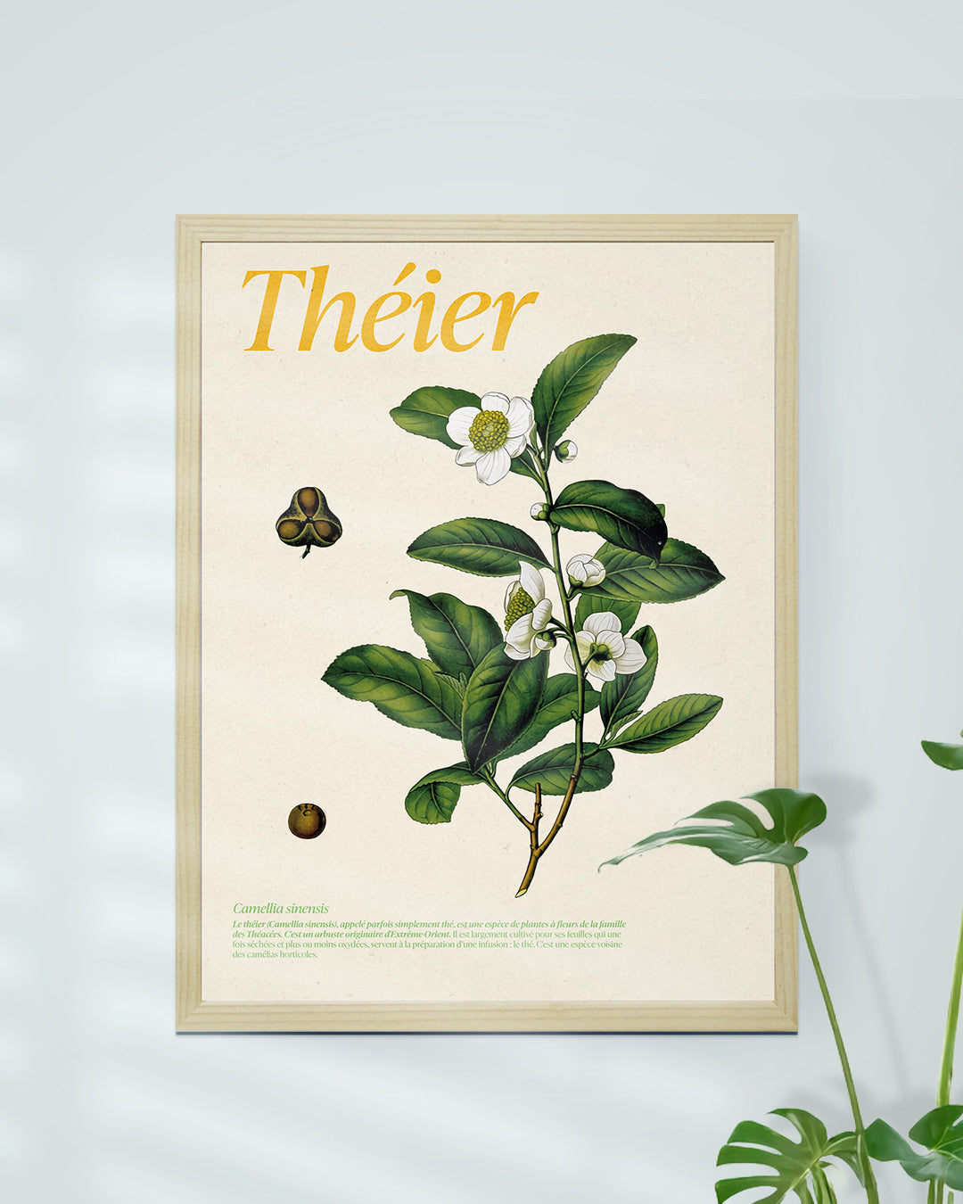 Affiche théier