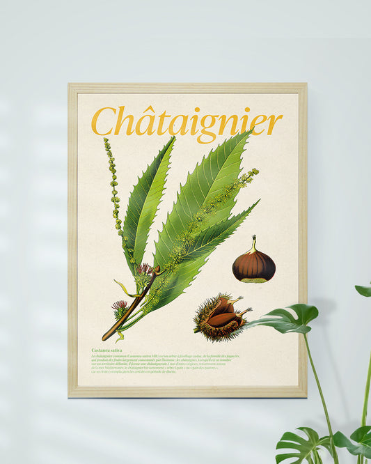 Affiche châtaigner