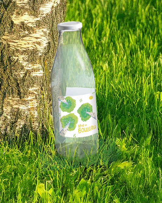 Sève de bouleau de la forêt, 1L Bio